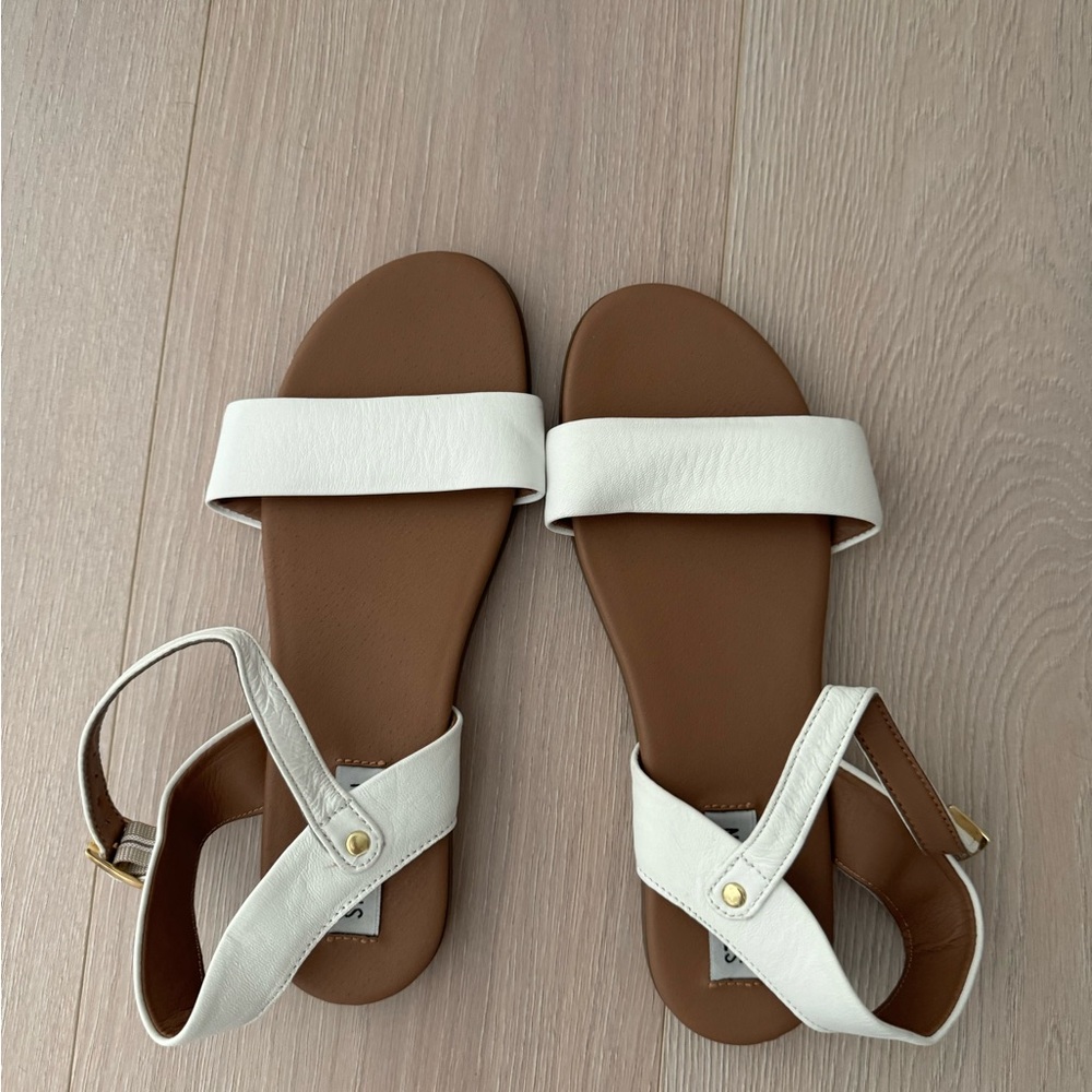 Steve Madden Women's Dina Sandal